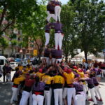 Diada Castellera fira de la primavera 2025 (9)