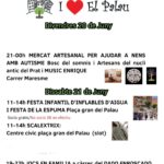 FESTES VALL PALAU 1
