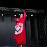 MOSTRA D’ENTITATS (26)