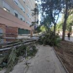 WhatsApp Image 2025-10-23 at 15.43.19