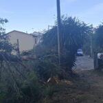 WhatsApp Image 2025-10-23 at 16.40.38 (2)