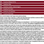 Pintura Ràpida_page-0003