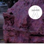 ESPECTACLE INFANTIL FEM CAGAR EL TIÓ (2)