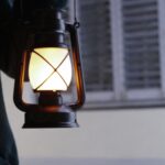 LA FANALERA 2025 (2)