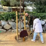 Plantació arbre 2024, parc can preses