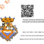 Gats de Sant Andreu