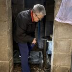 Carolina Barbera, colonia gats pedemonte