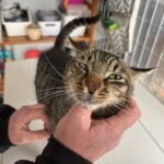 El ‘Lolo’ al refugi