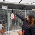 Refugi de gats de Sant Andreu de la Barca