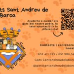 Gats de Sant Andreu