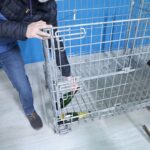 campanya nadalenca per reutilitzar ampolles de cava i reduir residus (2)