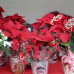 fira nadal 2025 (13)