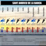 WhatsApp Image 2026-01-08 at 19.13.55