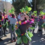 Carnaval 2026 (14)