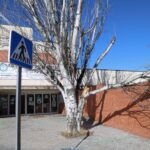 EPISODI FORT VENT SANT ANDREU BARCA 12 FEBRER (10)