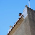 EPISODI FORT VENT SANT ANDREU BARCA 12 FEBRER (16)