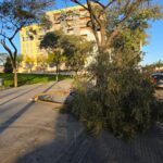 WhatsApp Image 2026-02-12 at 08.51.44