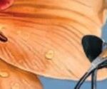 Banner Fira Primavera