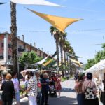 Fira carrer