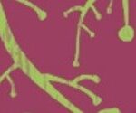 Banner FiraDEL VI